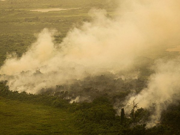 Inc Ndios Mato Grosso Do Sul Decreta Situa O De Emerg Ncia