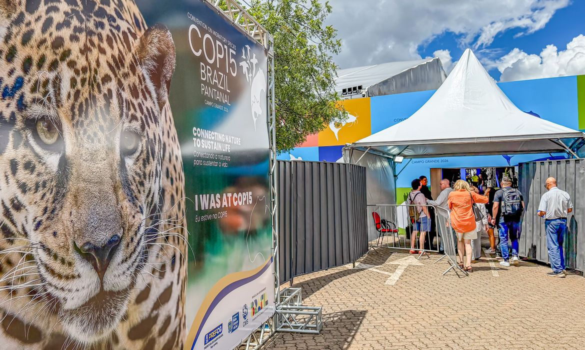 Brasil sedia encontro mundial sobre proteção de espécies migratórias