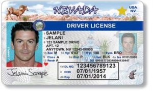 nevada drivers licence
