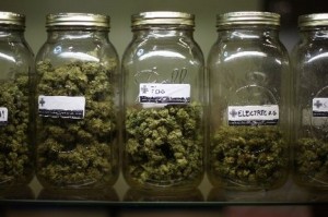 medical-marijuana-faces-uphill-climb-to-be-legalized-in-nc_uicaj_0