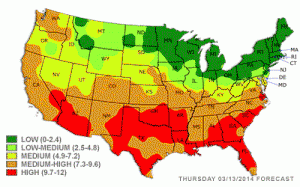 A primavera começa no dia 20 de março e junto com ela vem a reprodução das flores e a polinização. Ou seja, caso você tenha a impressão de que aquele resfriado do inverno nunca foi embora, pode ser, na verdade, alergia. Sintomas como rinite e sinusite podem indicar que talvez seja a hora de procurar um atendimento mais especializado.  Quando ocorrem mudanças de temperatura, as plantas soltam mais pólen no ar, o que irrita as vias respiratórias. Segundo os especialistas, esta é a época da reprodução das flores, da polinização. Quando pássaros, insetos e o vento carregam o pólen, pequenas partículas ficam espalhadas no ar. Nessa situação, tanta beleza acaba se transformando em uma das piores fases para quem sofre de alergia respiratória. O pólen entra em contato com as mucosas e ativa o processo alérgico. Primeiro o nariz coça, em seguida começam os espirros, depois a garanta fica irritada e os olhos também. O pólen é apenas um dos dispositivos da alergia respiratória. Ácaros e mofo também têm que ser controlados. A higiene da casa e do ambiente de trabalho são fundamentais para amenizar os sintomas.  A quantidade de pólen no ar, juntamente com a mudança de temperatura, faz com que mais pessoas fiquem com alergia nessa época. E grande parte da Flórida está, nesta semana, com altos níveis de pólen, de acordo com o website pollen.com, que mostra a quantidade de pólen no ar por estado. Tanto regiões da Flórida, como do Texas, Arizona e vários estados do sul do país mostram uma quantidade de pólen classificada entre “medium-high” e “high”.  Siga algumas recomendações para manter-se longe das alergias, dentro e fora de casa.  Tire a poeira do quarto e mantenha a casa limpa. Faça uma inspeção para ver se tem mofo em lugares como a cortina do banheiro e o ralo; Lute conta o ácaro, deixando a umidade de sua casa com 50% ou menos. É possível encontrar um medidor de umidade por menos de $10 dólares; Não deixe animais de estimação onde as pessoas dormem; Mantenha a janela fechada durante as épocas de mudança de temperatura, tanto de casa quanto do carro; O ar condicionado faz com que o ar circule e se purifique. Mude o filtro a cada três meses; Pingar água salgada no nariz ajuda a descongestionar as vias respiratórias; Aumente a imunidade: faça exercícios, como alimentos de qualidade, como verduras, legumes, frutas e blueberries, conhecidos por ajudar o sistema imunológico; Durma bem para que sua imunidade não caia; Tome vitaminas do complexo B, pois ajudam a prevenir; Tome muita água. Quando você fica desidratado, sua mucosa nasal fica ressecada, podendo facilitar com que alergênicos entrem em sua circulação sanguínea; Lave seu lençol com água quente para neutralizar os alergênicos.