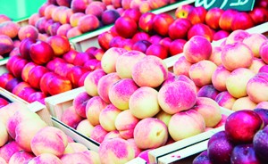 http://www.dreamstime.com/royalty-free-stock-photography-nectarines-peaches-healthy-concept-image39760287