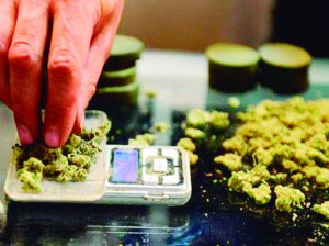 size_590_maconha