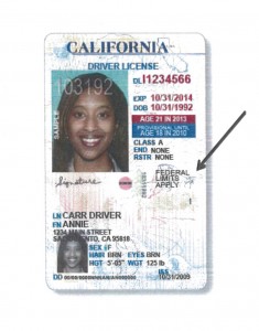 carteira motorista california