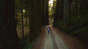 Carol Barcellos caminhando pela Floresta Nacional das Sequoias