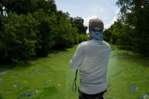 Trump assina lei para reduzir a proliferação de algas tóxicas na Flórida