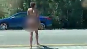 Vídeo mostra mulher nua atravessando a I-95