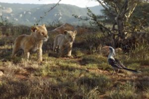 SImba, Nala e Zazu em "The Lion King". (Cortesia: Walt Disney Pictures)