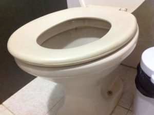 Raio destrói vaso sanitário de mulher na Flórida