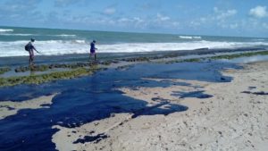 mancha óleo praia Nordeste 